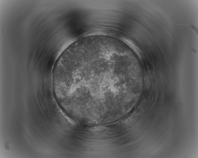 X0000091331290200708311429