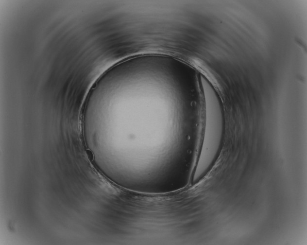 X0000091331292200708311429