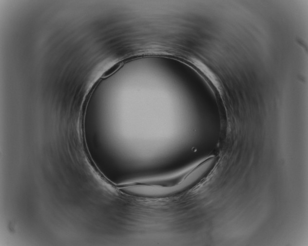 X0000091331293200708311429