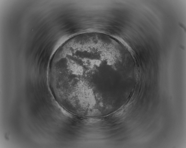 X0000091331294200708311429