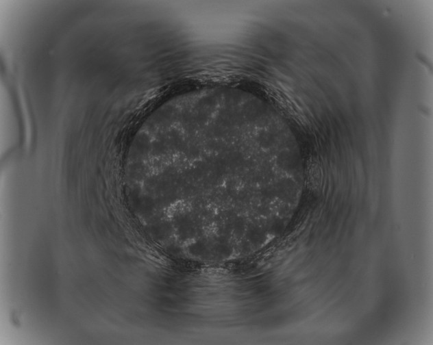 X0000091331297200708311429