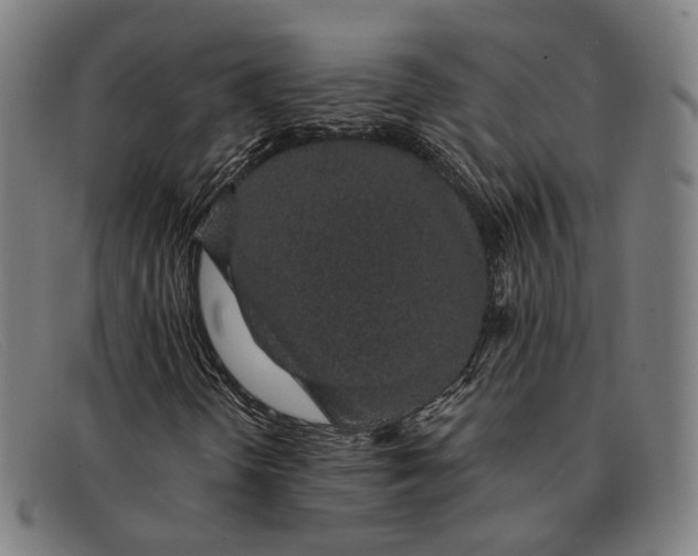 X0000091331298200708311429