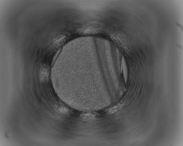 X0000091331300200708311429