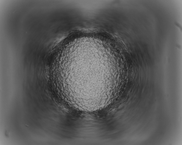 X0000091331301200708311429