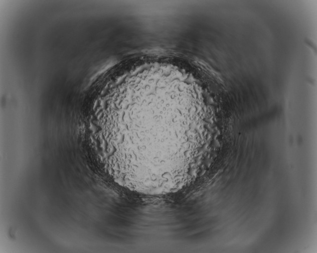 X0000091331302200708311429