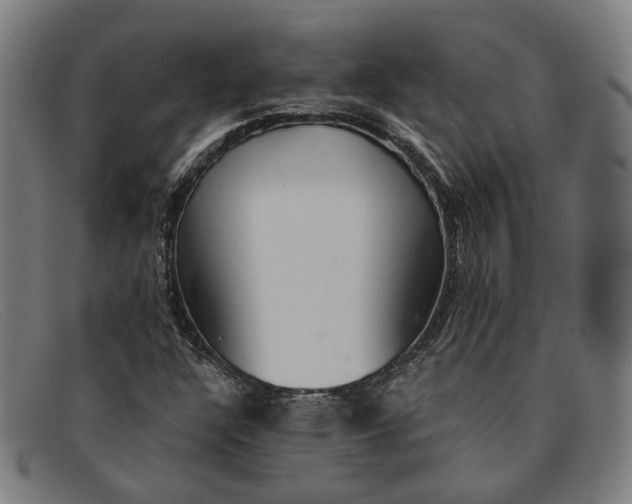 X0000091331304200708311429