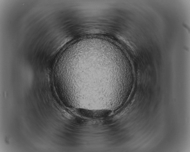 X0000091331305200708311429