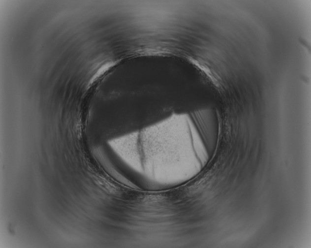 X0000091331306200708311429