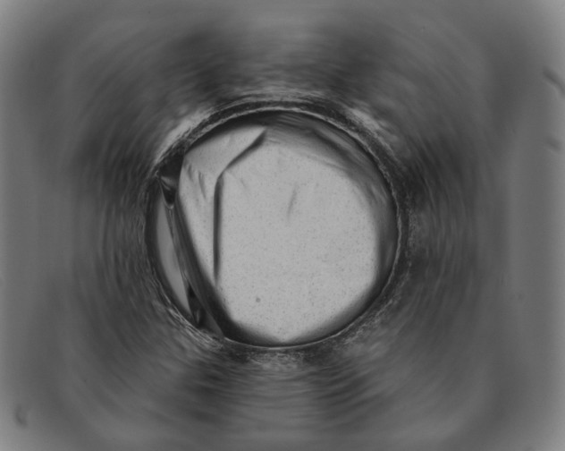 X0000091331307200708311429