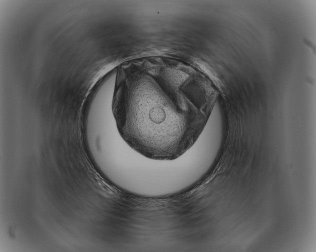 X0000091331308200708311429