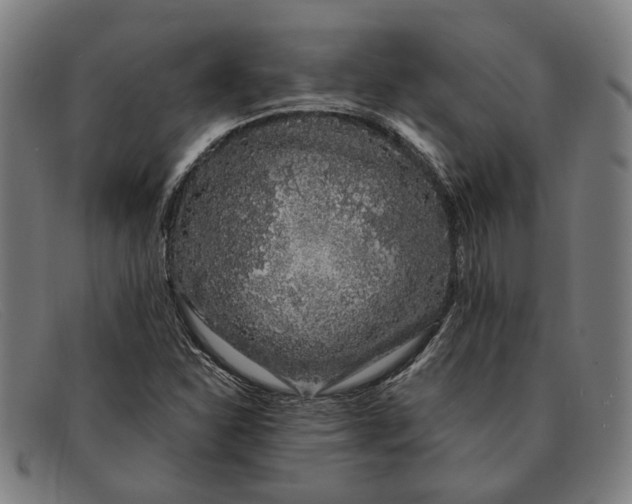 X0000091331310200708311429