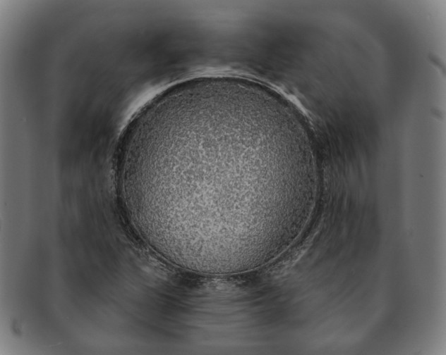 X0000091331311200708311429