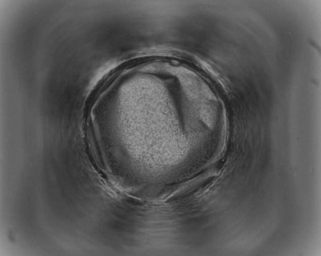 X0000091331312200708311429