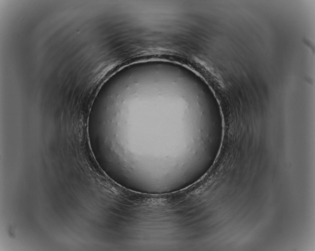 X0000091331313200708311429