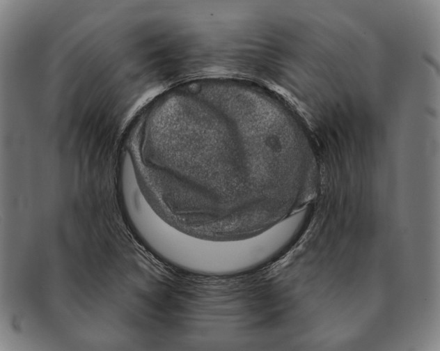 X0000091331314200708311429