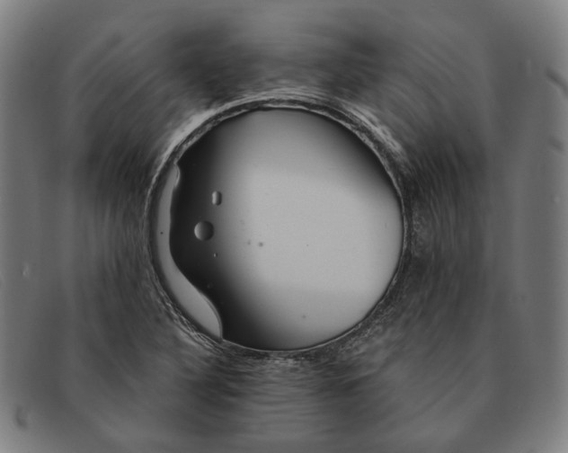 X0000091331316200708311429