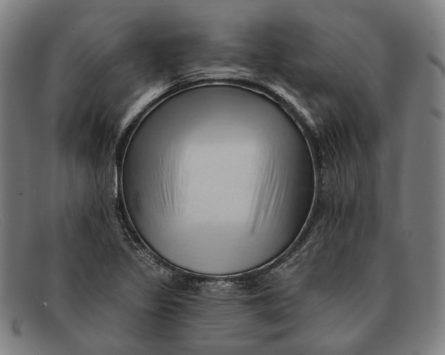 X0000091331317200708311429