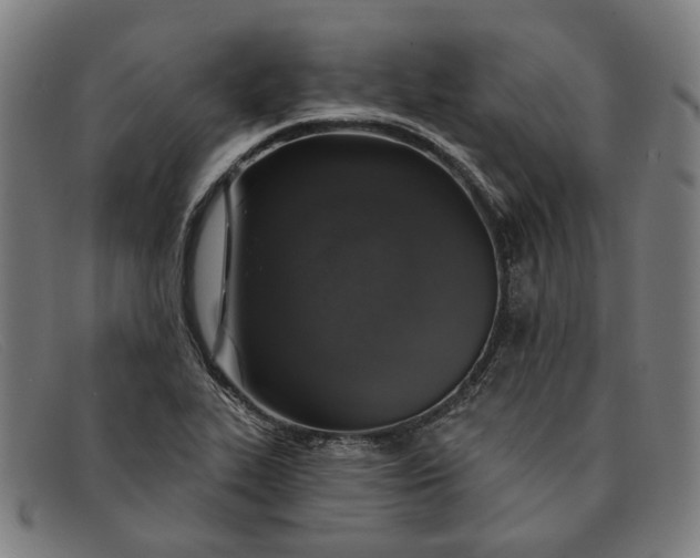 X0000091331319200708311429