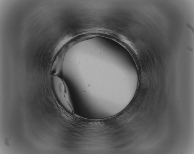 X0000091331320200708311429