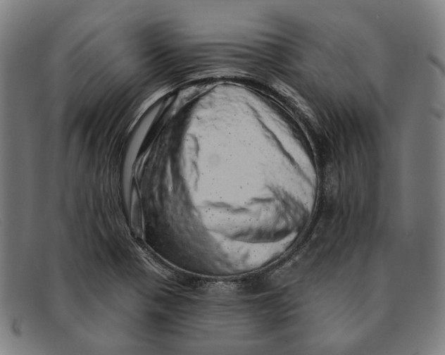 X0000091331321200708311429