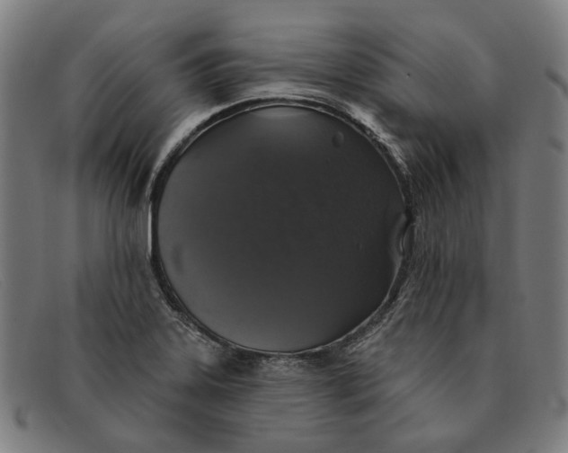 X0000091331323200708311429