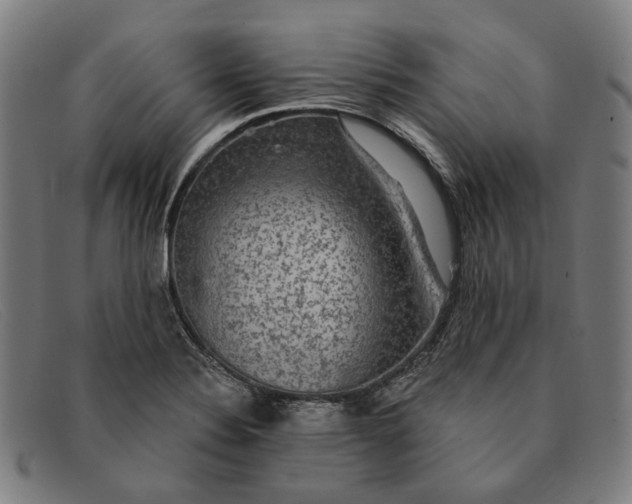 X0000091331324200708311429