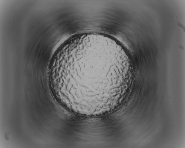 X0000091331325200708311429