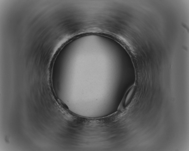 X0000091331326200708311429