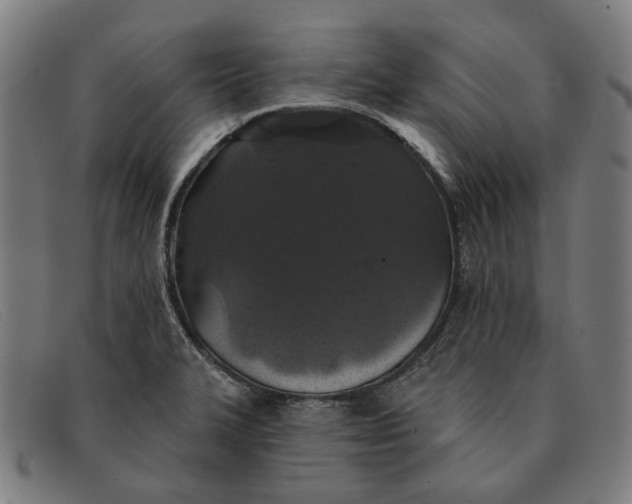 X0000091331327200708311429