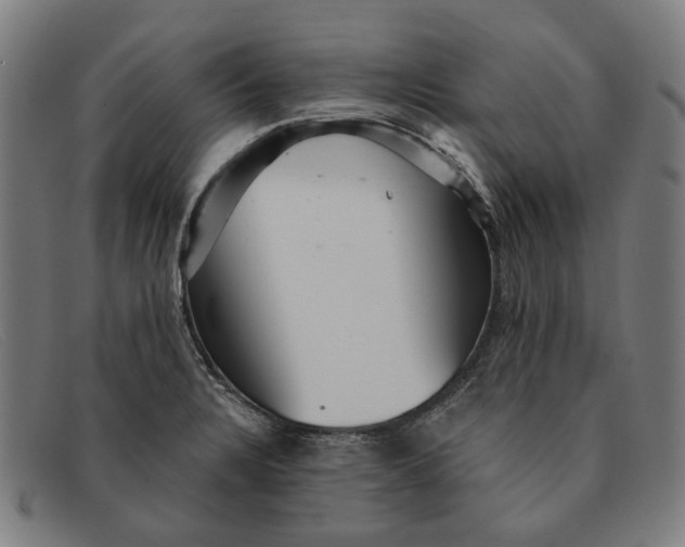 X0000091331328200708311429