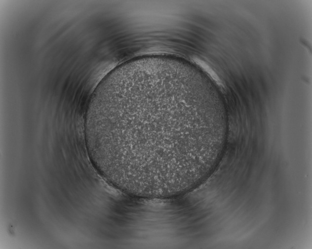 X0000091331329200708311429