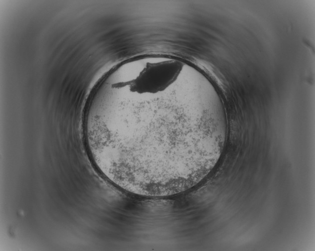 X0000091331331200708311429