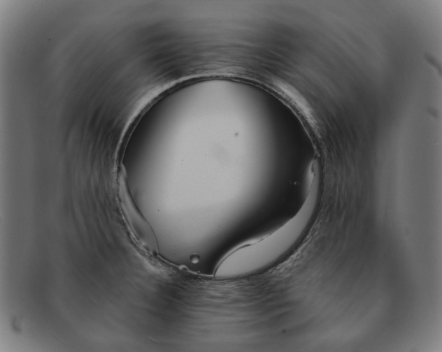 X0000091331332200708311429