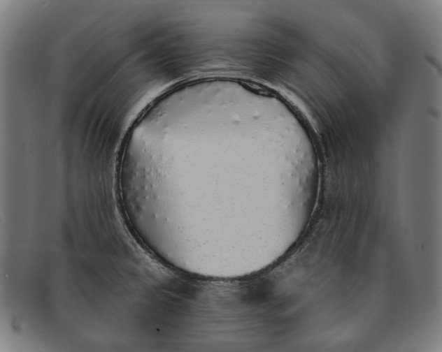 X0000091331333200708311429