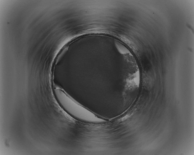 X0000091331334200708311429