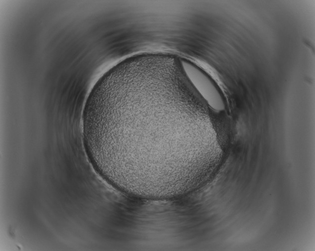 X0000091331335200708311429