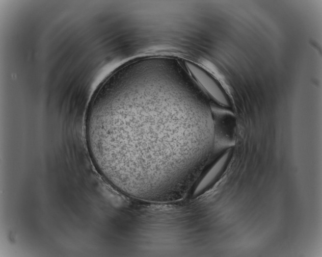 X0000091331336200708311429
