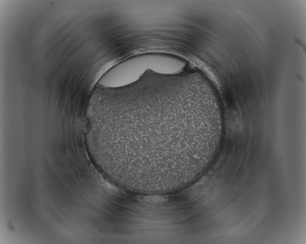 X0000091331337200708311429