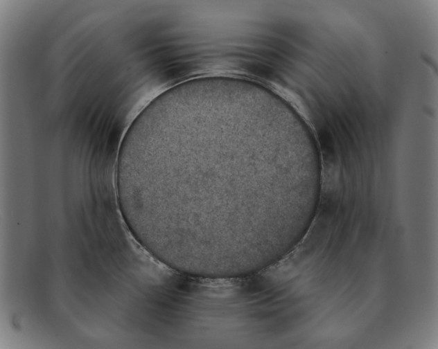 X0000091331338200708311429