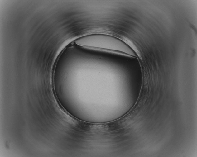 X0000091331339200708311429