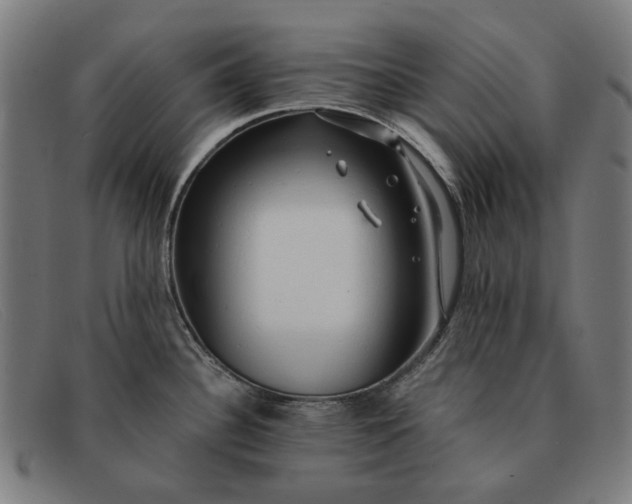 X0000091331340200708311429