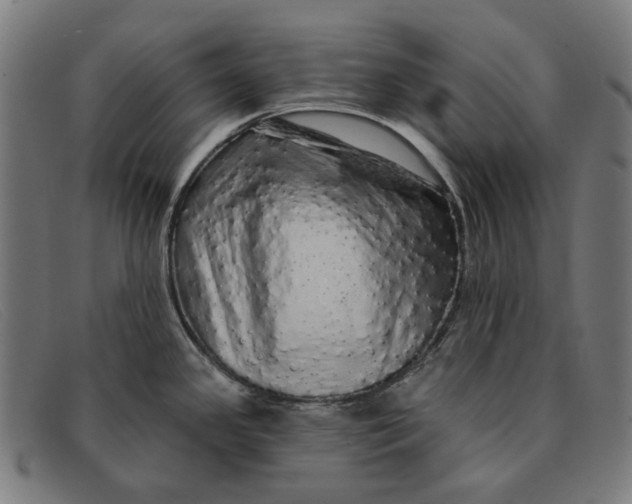 X0000091331341200708311429