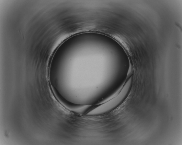 X0000091331342200708311429