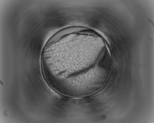 X0000091331343200708311429