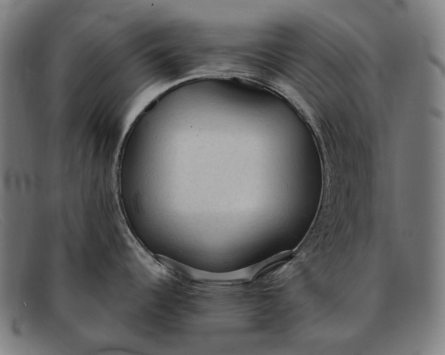 X0000091331344200708311429