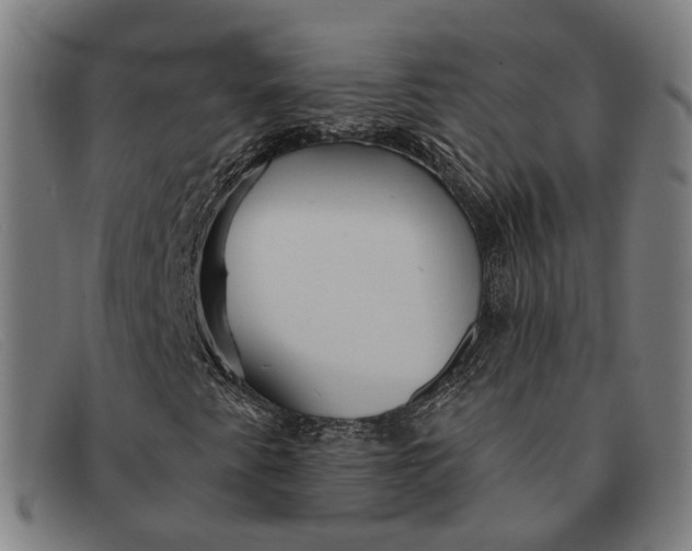 X0000091331345200708311429