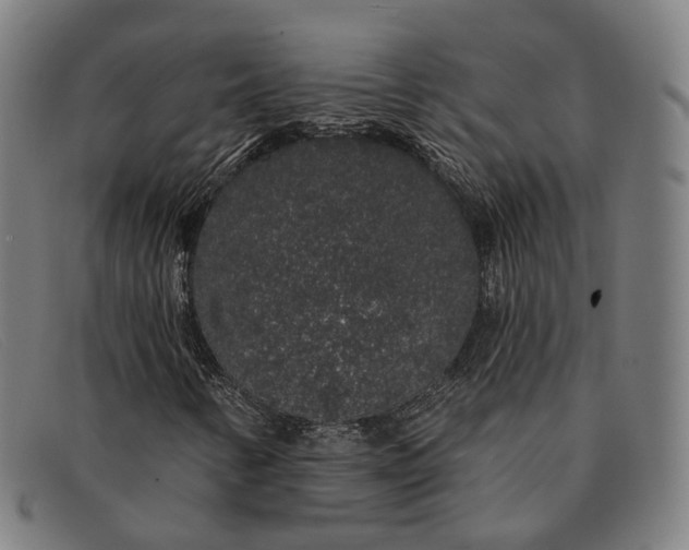 X0000091331346200708311429