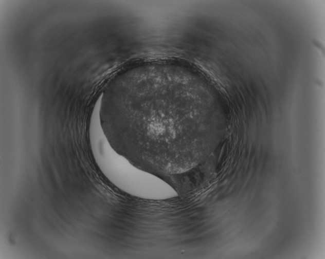 X0000091331348200708311429