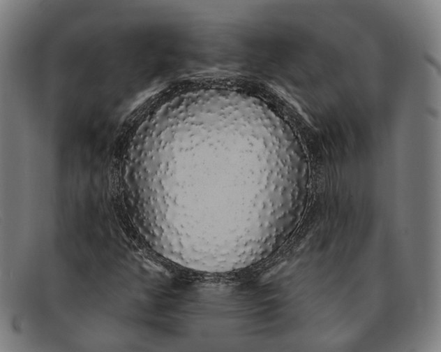 X0000091331350200708311429