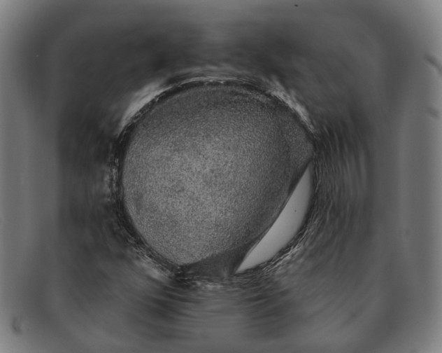 X0000091331352200708311429